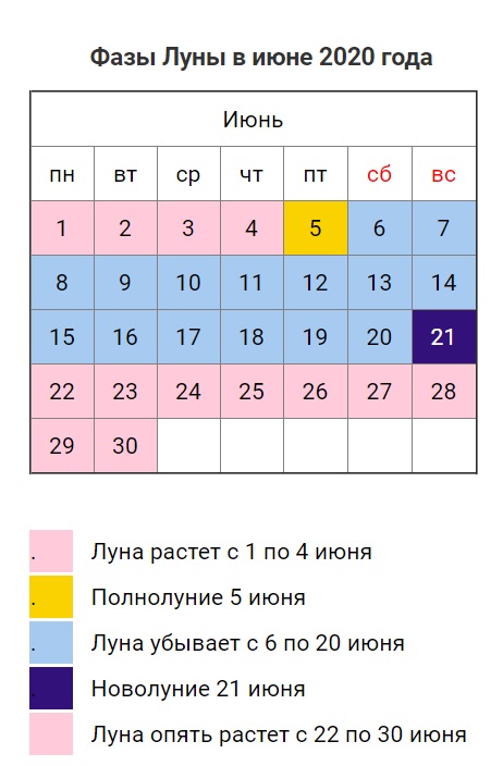 Посевной календарь на июнь 2020: когда можно и нельзя работать в огороде и саду